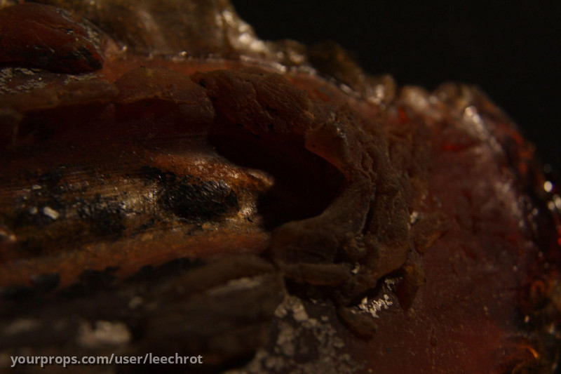 Dalek DNA – image 3
