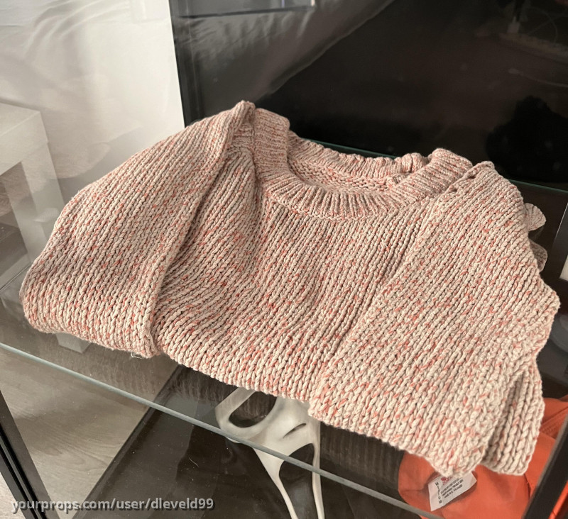 Annie's (Cameron Diaz)Hero-used sweater from Sex Tape (2014) – Sex Tape (2014) – image 4