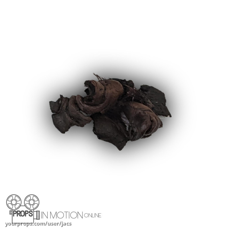 Piece of Hero spider skin – Jumanji (1995) – image 1