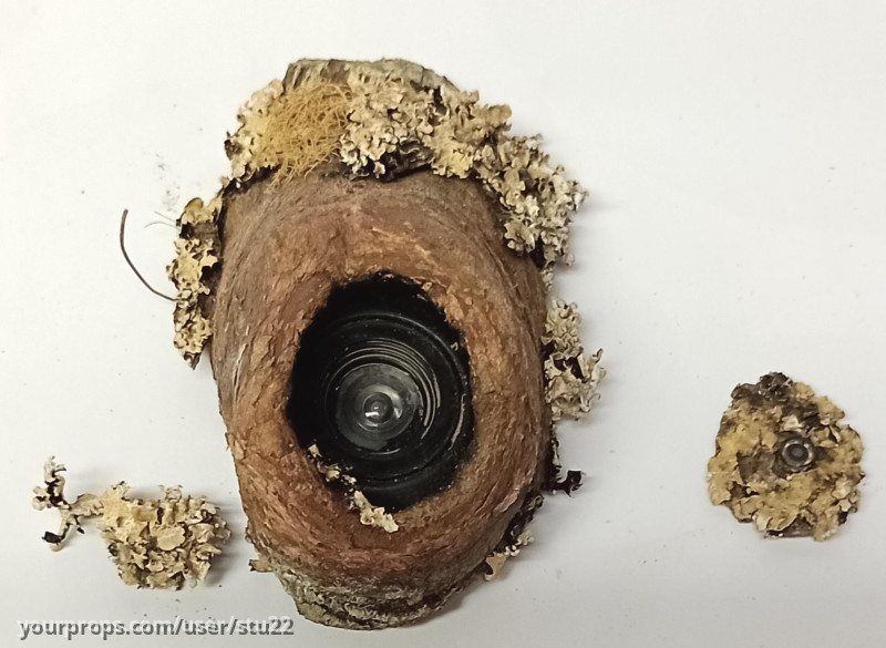 Tree Cameras – The Wilds (2020) – image 1