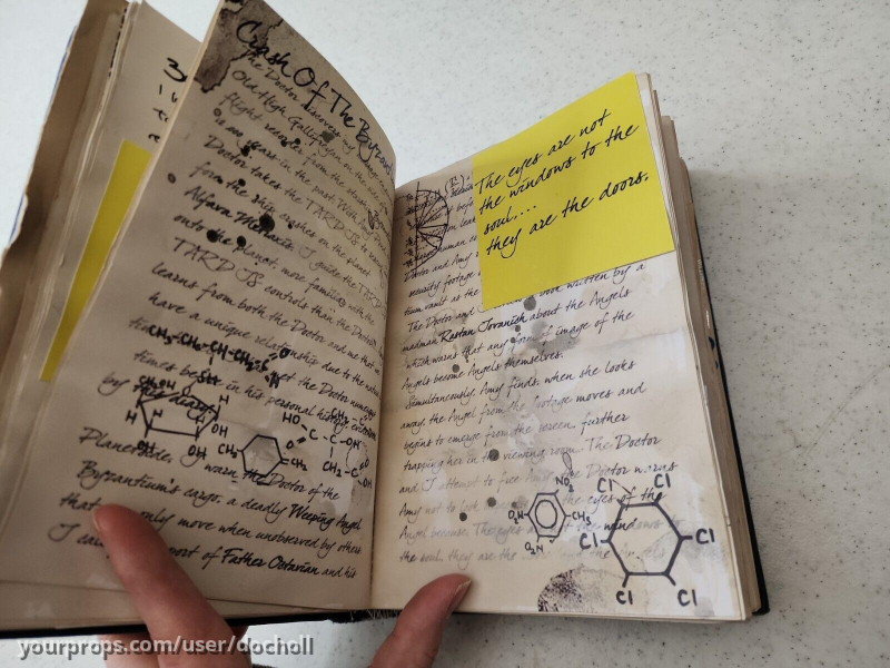 River Song Diary – Doctor Who (2005) – image 3