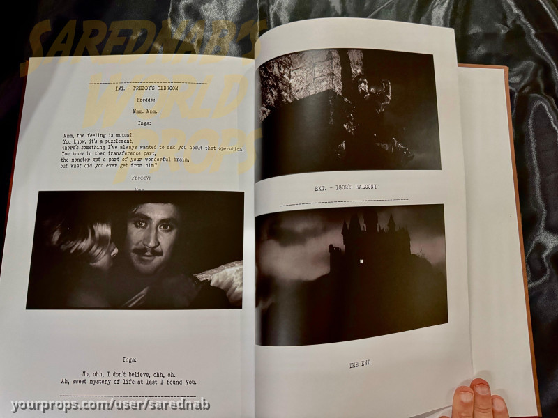 How I did it Book – Young Frankenstein (1974) – image 2