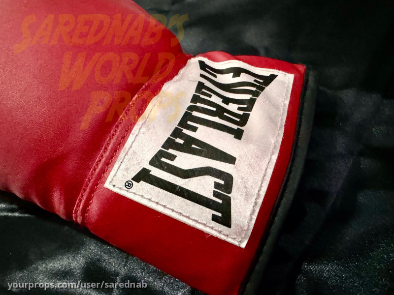 Hero Cave Display Boxing Gloves and Framed Picture Tyson Vs Spinks – Creed III (2023) – image 4