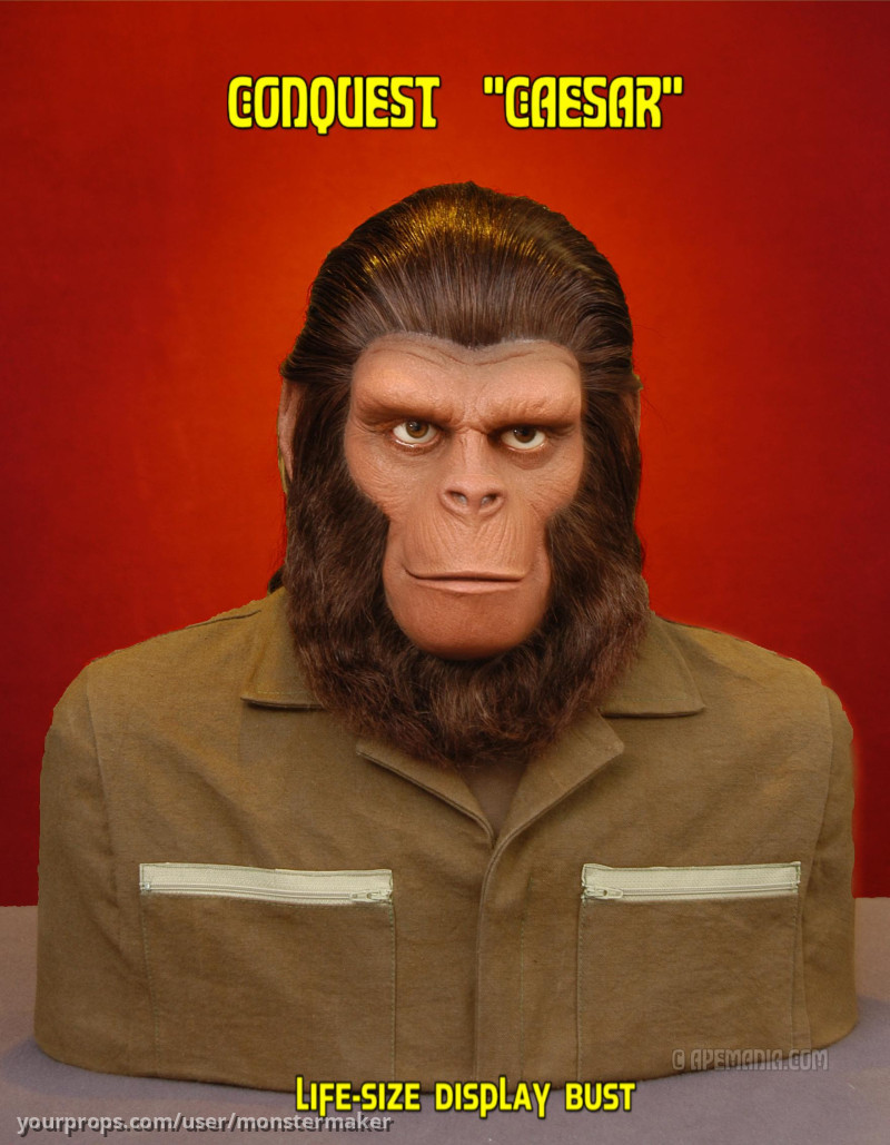 CONQUEST \"CAESAR\" life-size display bust – Conquest of the Planet of the Apes (1972) – image 2