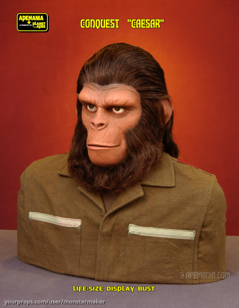 CONQUEST \"CAESAR\" life-size display bust – Conquest of the Planet of the Apes (1972) – image 3