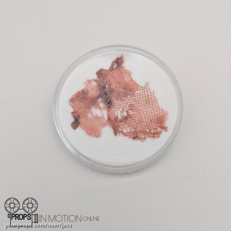 Acid rain flesh – The Fall of the House of Usher (2023) – image 1