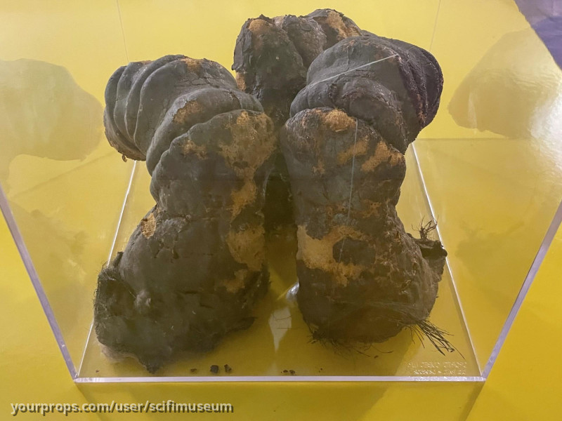 original Triffid clackers – The Day of the Triffids (1981) – image 2