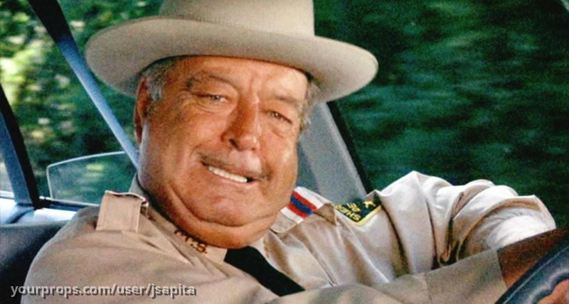 Sheriff Buford T Justice – Smokey and the Bandit (1977) – image 5