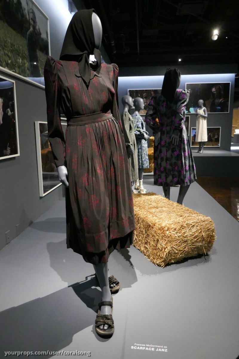 Frances McDormand Screen Worn Dress and Shoes – Women Talking (2022) – image 2
