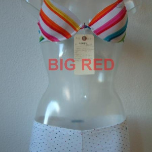Cindy (Lucie Guest) costume – Postal (2007)