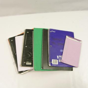 olive's (emma stone) hero notebooks – Easy A (2010)