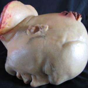 Severed Head