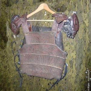gorilla armor (stunt) – Planet of the Apes (2001)