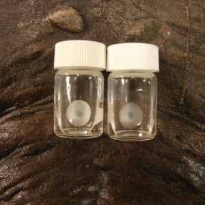 Jonathan Brecks Prescription Hero Creeper Contact Lenses Set 2 – Jeepers Creepers (2001)