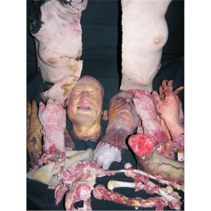 Large Lot of Bloody Dinner Table Props – 2001 Maniacs: Field of Screams (2010)