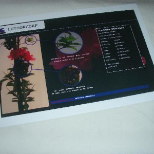 Toxic Plant Luthorcorp Print Out – Smallville (2001)