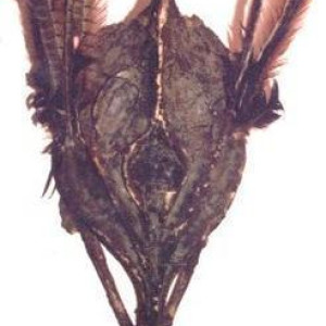 Hounds of Lucifer Helmet from "The Swords of Wayland" – Robin of Sherwood (1984)