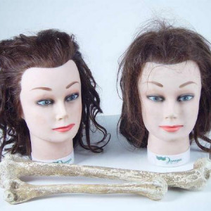 The X Files "Our Town" Prop Duchovny Anderson – The X-Files (1993)