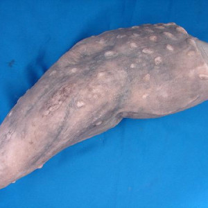 Silicone Creeper Suit SFX Arm – Jeepers Creepers (2001)