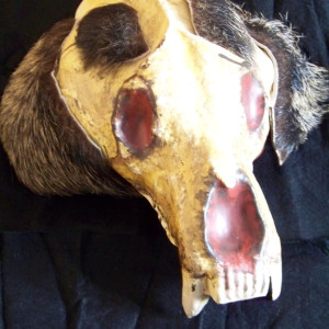 "Wendoll Warrior Bear Skull" – The 13th Warrior (1999)