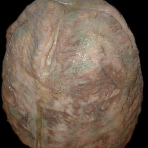 Aliens Egg – Aliens (1986)