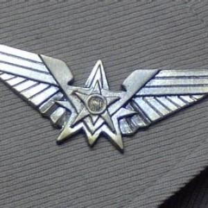 Fleet Dress Pin – Starship Troopers (1997)