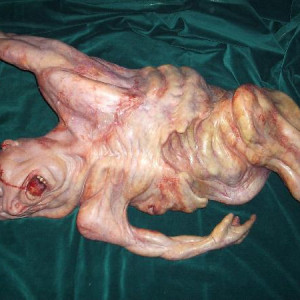 Episode:The Joining – The Outer Limits (1995)
