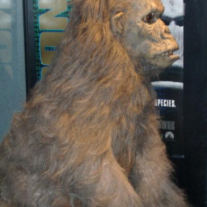 Congo Grey Gorilla costume – Congo (1995)