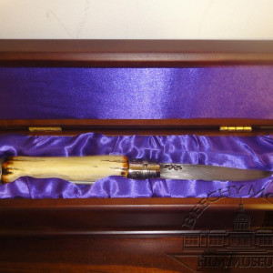 Albus Dumbledore's Knife.. – Harry Potter and the Half-Blood Prince (2009)