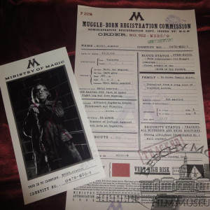 Alastor Moody Muggle - Born Registration.. – Harry Potter and the Deathly Hallows: Part 1 (2010)