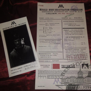 Harry Potter's Muggle - Born Registration.. – Harry Potter and the Deathly Hallows: Part 1 (2010)