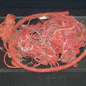 "Huge Piece of Red Weed" – War of the Worlds (2005)
