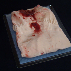 "Bloody Nightdress" – Dream House (2011)