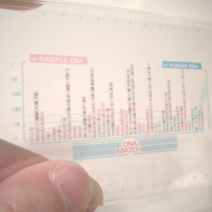 Prometheus DNA PDA – Prometheus (2012)