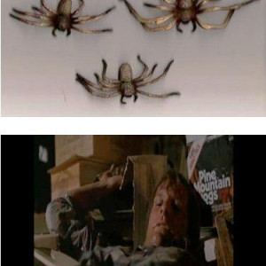 3 Spiders From Filming. – Arachnophobia (1990)
