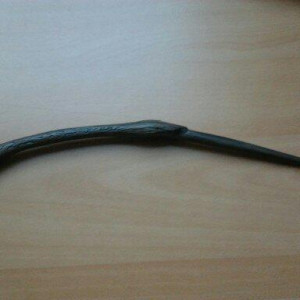 The wand of Bellatrix Lestrange – Harry Potter and the Order of the Phoenix (2007)