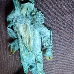 Hero Sleestak skin worn by Will Ferrell – Land of the Lost (2009)