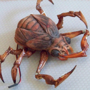 "Animatronic Bug Larvae Puppet" – Mimic 2 (2001)