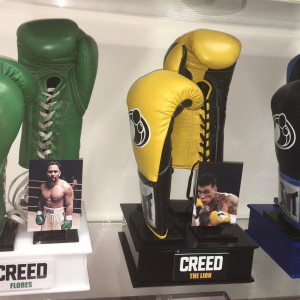 opponents Gloves. – Creed (2015)