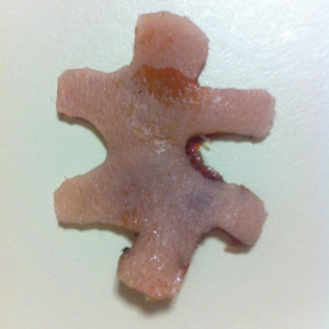 Jigsaw-Shaped Piece of Flesh – Saw V (2008)