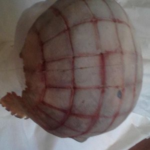 movie prop – Hellraiser: Hellworld (2005)