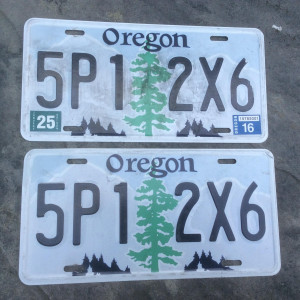 Mona's license plates – The Edge of Seventeen (2016)
