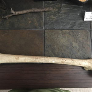 Production Used Femur – Bones (2005)