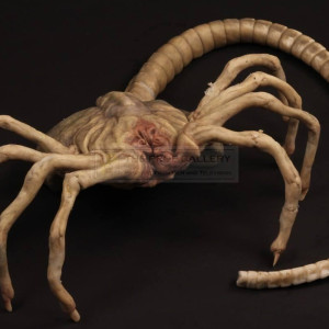 AvP screenused armatured silicon Facehugger Puppet – Aliens vs. Predator: Requiem (2007)