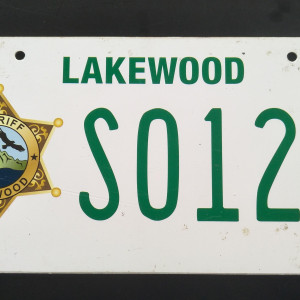 Ambulance Licence Plate – Scream: The TV Series (2015)