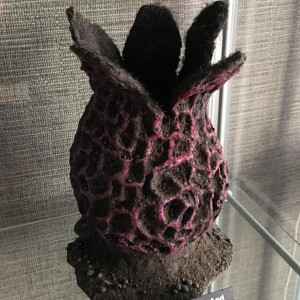Open Plant Pod – Snow White and the Huntsman (2012)