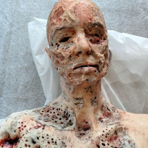 Doctor Allerdyce (Phoebe Nicholls) infected larvae head screen used prop – Fortitude (2015)