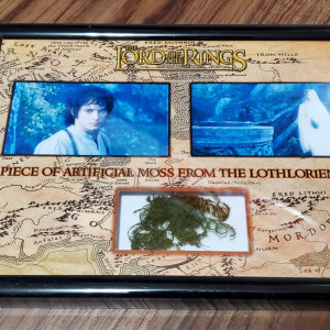 Small piece of moss – The Lord of the Rings: The Fellowship of the Ring (2001)