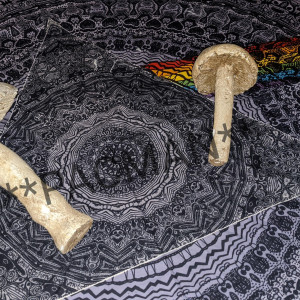 Pink Floyd and mushrooms – The Magicians (2015)