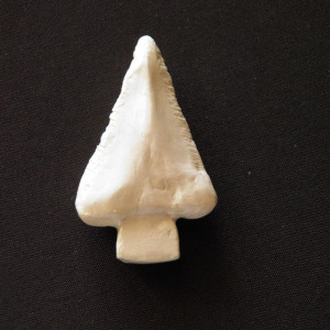 "Bruce" mechanical shark tooth replica – Jaws (1975)
